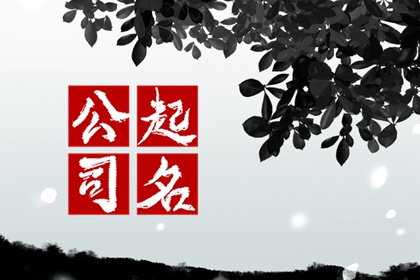 好听吉祥的饰品公司名字大全2024